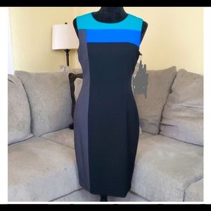 Calvin Klein Work Dress Block Print (14)